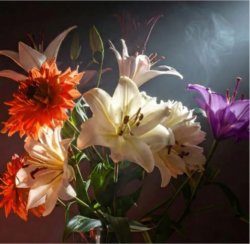 個性を思いきり表現し挑戦し続ける